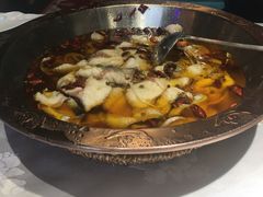 -雲蜀龙阁·金牌水煮鱼(方庄店)