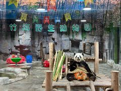 -栾川竹海野生动物园