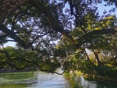 -西溪国家湿地公园