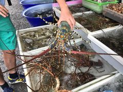 -拉威海鲜市场