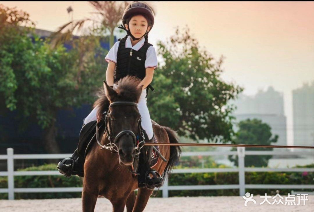 可是今天告诉大家，娃娃也可以培养马术的呢！