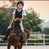 可是今天告诉大家，娃娃也可以培养马术的呢！