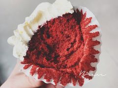 -隹木咖啡馆(宝龙广场店)