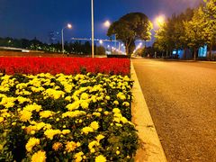 -泓盛花园