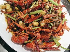 -京悦南门涮羊肉·羊蝎子火锅(田林路店)