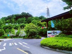 -杭州开元森泊度假乐园