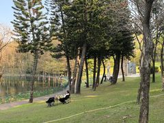 -深圳龙潭公园