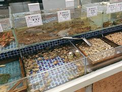 -天盛海鲜烧烤大排档·本地小海鲜·牟平腿穗子(幸福店)