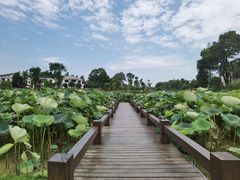 -周立波故居