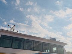 -丹东路渡口(轮渡站)