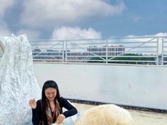 -Blue Concept Cafe&Farm·關於藍
