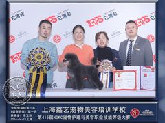 -鑫艺宠物美容培训学校