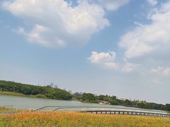 -海珠湖公园