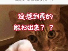 -暴风岛沉浸式体验馆(百联世纪店)