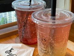 -猫小主咖啡·猫咖cat cafe(福田店)