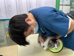 -瑞派动物医院·猫专科·至诚(江南中分院)