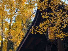 -成都杜甫草堂博物馆