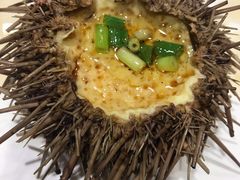 -赶海部落海鲜城(海阳路店)