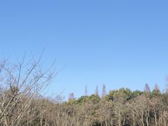 -良渚古城遗址公园