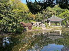 -叶家花园
