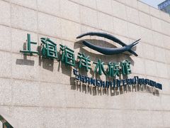 -上海海洋水族馆