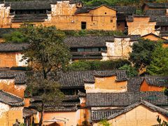 -杨家堂村