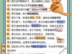 -荔康动物医院(康王北路店)