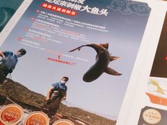 -坛宗剁椒鱼头(河西王府井店)