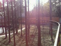 -成飞公园