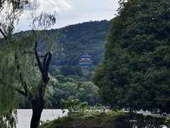 -天下玉苑