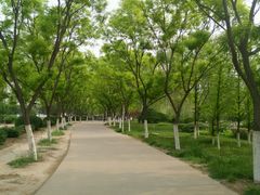 -山东理工大学