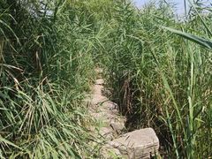 -绿堤公园
