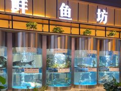 -老船舫·现做活鲜鱼馆(东郊记忆店)