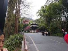 -峨眉山报国寺