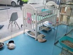 -狗不理喵子(百富路店)