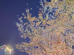 -砂之船奥莱(南京江宁店)