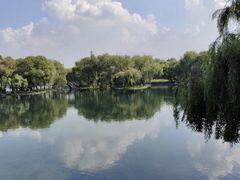 -百脉泉景区