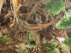 -叶叶菩提·晋福宫