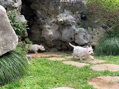 -上海鲜花港