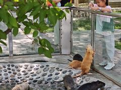 -水上乐园·欢乐世界