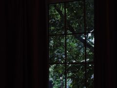 -裕兴记·三虾面(西北街总店)
