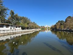 -翠湖公园