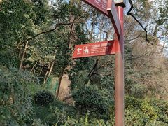 -灵顺寺