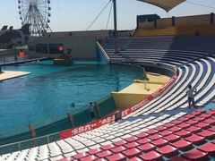 -秦皇岛乐岛海洋王国