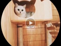 -Double Rui宠物酒店