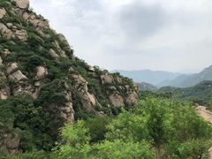 -大岭沟猕猴桃谷风景区