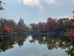 -西山人家·传统苏帮菜·家宴(木渎店)