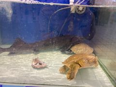 -维客超市(胶南店)