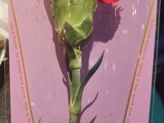 -凤凰湘语·海派湘菜(浦东旗舰店)