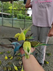 -萌宠亲子动物乐园(槐房万达店)